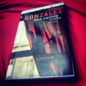 Tomás González – Das spröde Licht