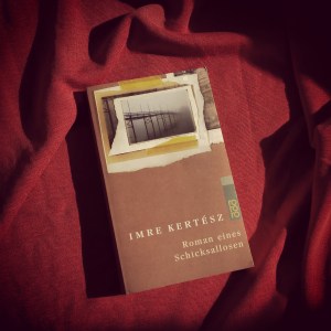 Imre Kertész - Roman eines Schicksallosen